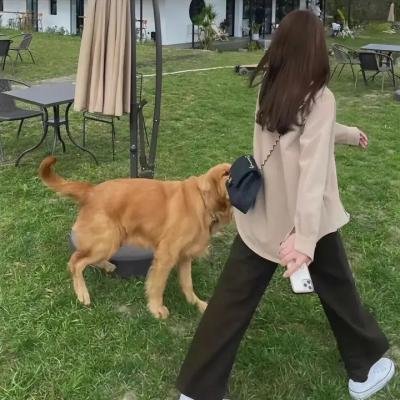 焦躁不安
